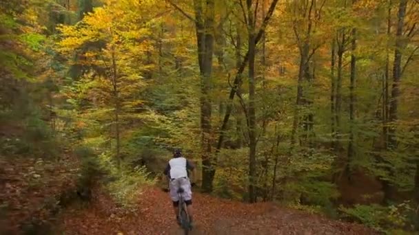 Motociclista de fondo — Vídeos de Stock