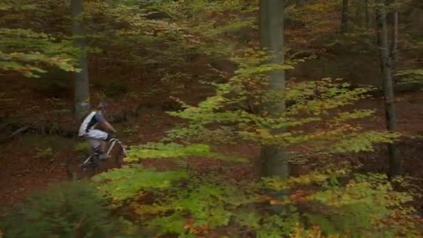 In bicicletta attraverso la foresta autunnale — Video Stock