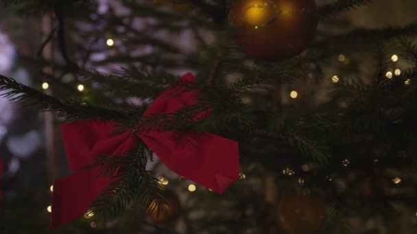 Albero di Natale — Video Stock