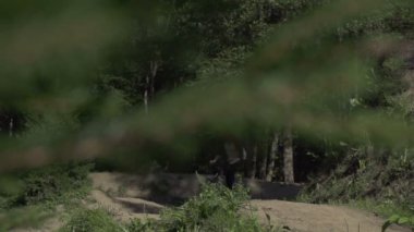 BMX motosiklet sürme tekerlek