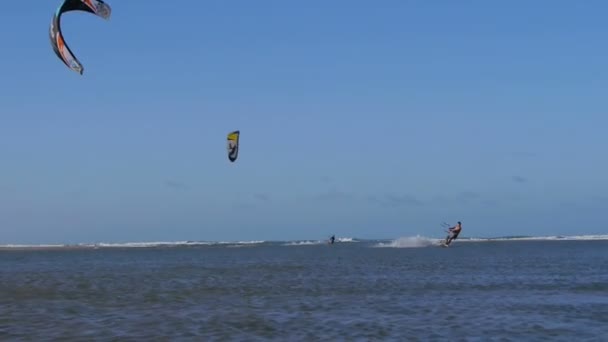 Mannelijke kiteboarder springen — Stockvideo