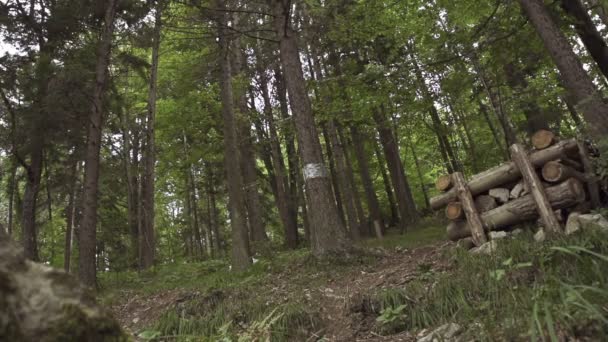 Motorcu atlama — Stok video