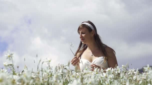 Flores de narciso oliendo — Vídeos de Stock