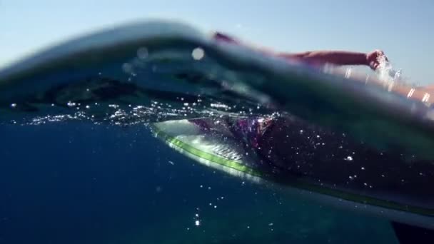Vrouwelijke surfer peddelen uit — Stockvideo