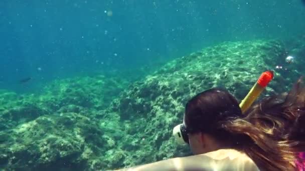 Dykare simmar under vattnet — Stockvideo