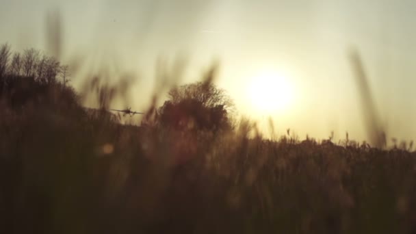 Flugzeuge steigen bei Sonnenuntergang auf — Stockvideo