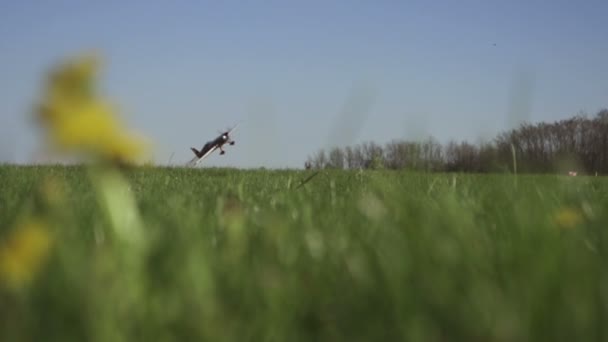 Akrobatického letadla létající nízko — Stock video