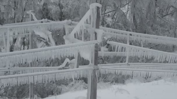 Eiszapfen in gefrorener Natur — Stockvideo