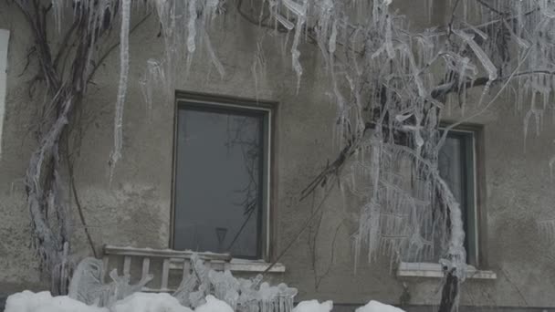 Icicles en una casa — Vídeos de Stock