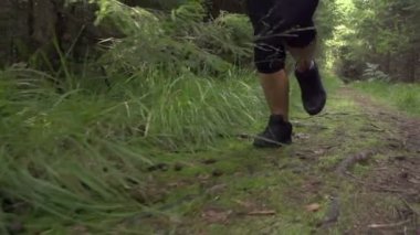 ormanda çalışan kadın