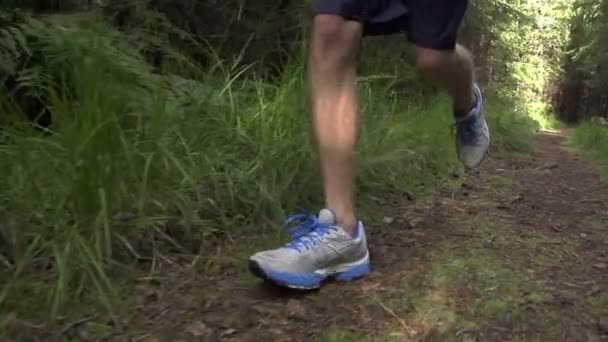 Varón corriendo por el bosque — Vídeo de stock