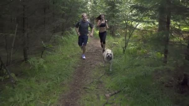 Couple running behind the dog — Stock Video