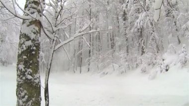 Doğadan şiddetli kar yağışı