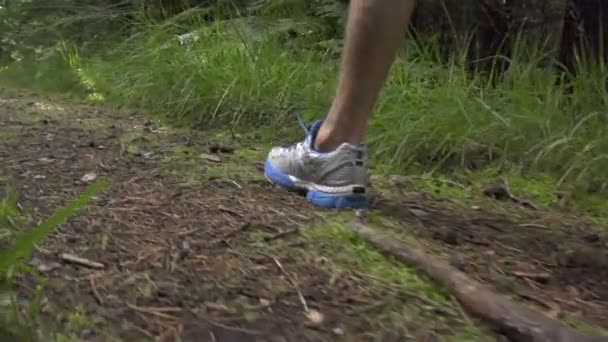 Masculino correndo pela floresta — Vídeo de Stock