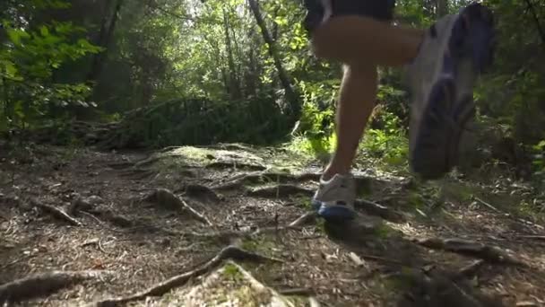 Homme faisant du jogging dans la forêt — Video