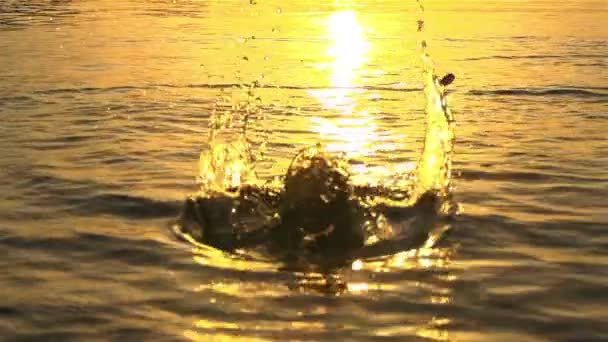 Dob egy kő a vízben — Stock videók