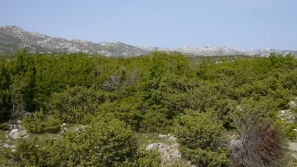 Rocky landscape with juniper bushes — Stock Video