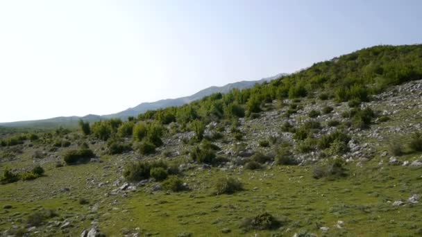 Paesaggio roccioso con cespugli di ginepro — Video Stock