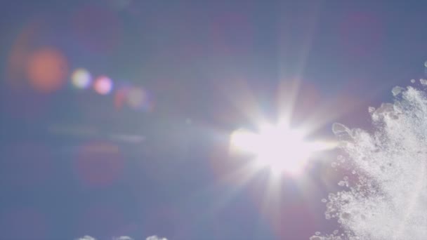 Снежинки падают на солнце — стоковое видео