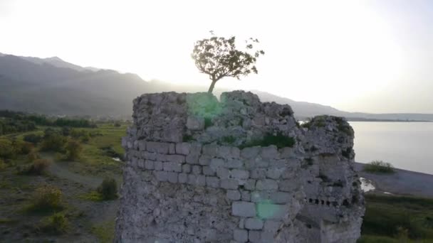 日出时分的要塞 — 图库视频影像