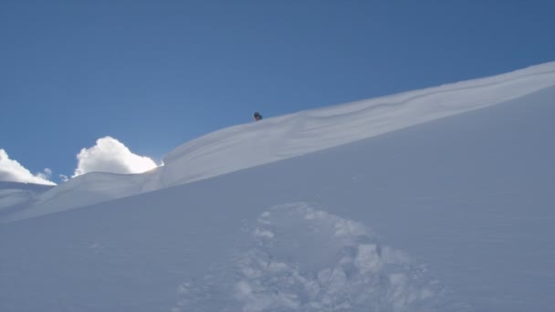 Snowboardista jumping — Stock video