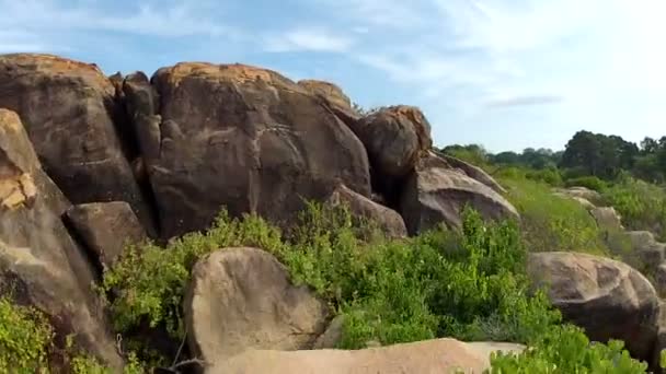 Río en Sri Lanka — Vídeos de Stock