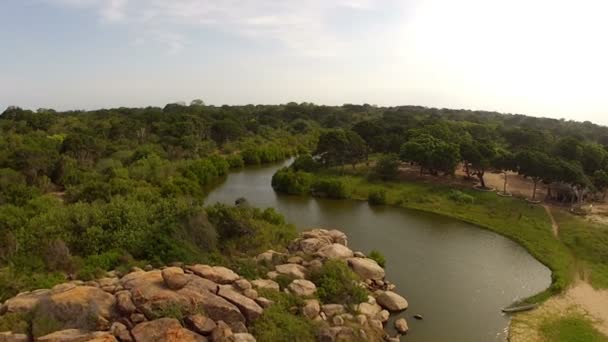 스리랑카에 있는 강 — 비디오