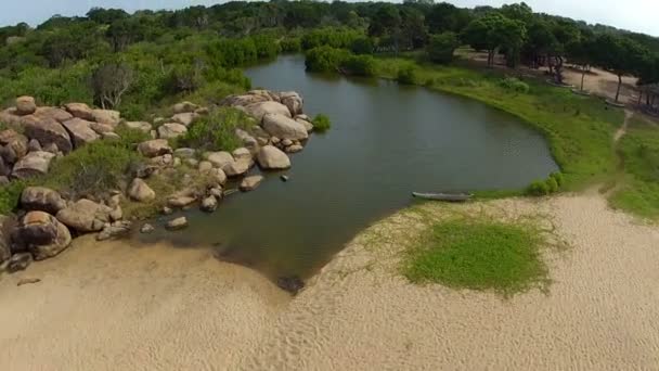 Boca del río — Vídeos de Stock