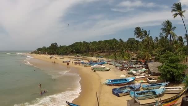 Coast in Sri Lanka — Stock Video