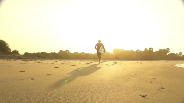 Surfer uitgevoerd — Stockvideo