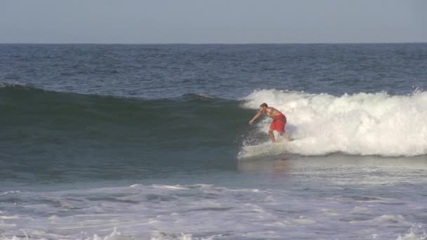 Surfer riding big wave — Stock Video