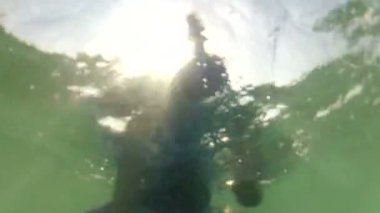 sörfçü Wave için bekliyor