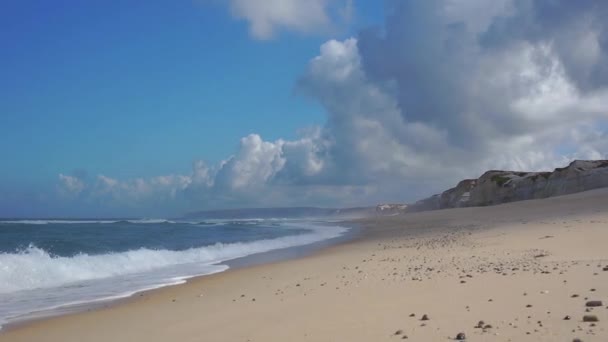 Egzotycznej plaży — Wideo stockowe