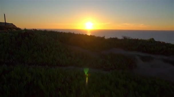 日の出のビーチ — ストック動画