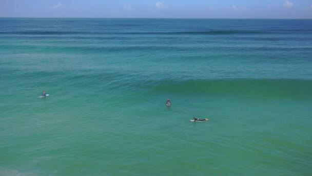 Surfistas atrapando olas — Vídeo de stock