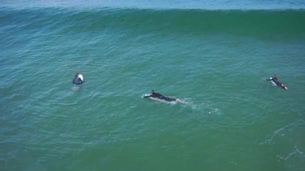 Surfistas atrapando olas — Vídeo de stock