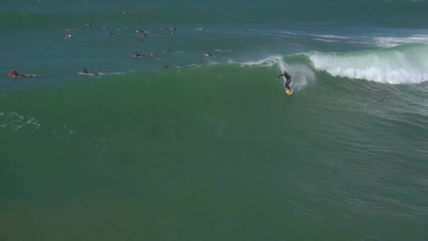 Surfing surfer — Wideo stockowe