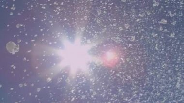 Düşen kar taneleri