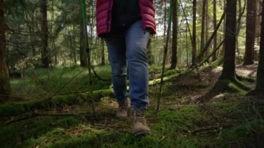 Tanınmayan son sınıf öğrencisi, sakin yeşil ormanda geziniyor..