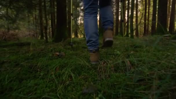 Nízký úhel: Nerozpoznatelná starší žena túry kolem svěží zelený les. — Stock video