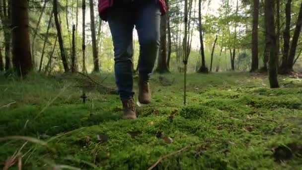 ÂNGULO BAIXO: Mulher idosa usando jeans usa postes de trekking para explorar a floresta. — Vídeo de Stock