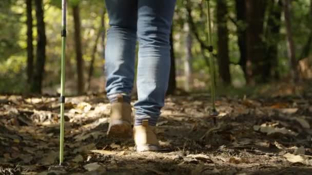 FAIBLE ANGLE : Un homme plus âgé qui ne se reconnaît pas marche le long du sentier forestier vide. — Video