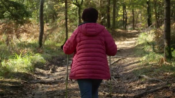 Nah dran: Seniorin erkundet an einem schönen Herbstnachmittag den Wald. — Stockvideo