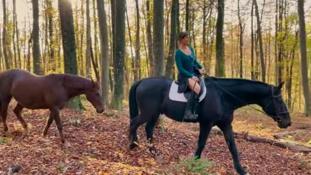 Ung kvinnlig ryttare utforskar skogen ändra färger i höst. — Stockvideo