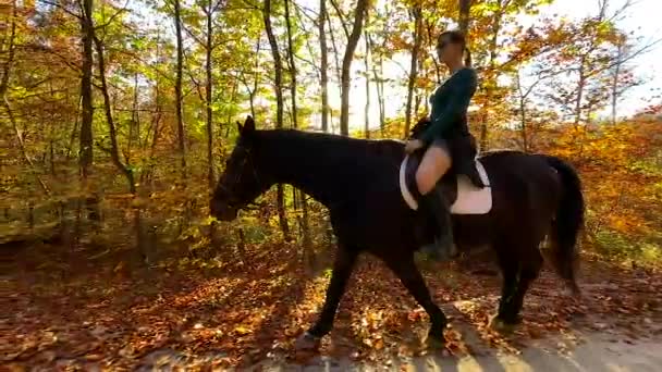 LENS FLARE: Giovane donna porta il suo cavallo a fare un giro lungo un sentiero nella foresta illuminato dal sole. — Video Stock