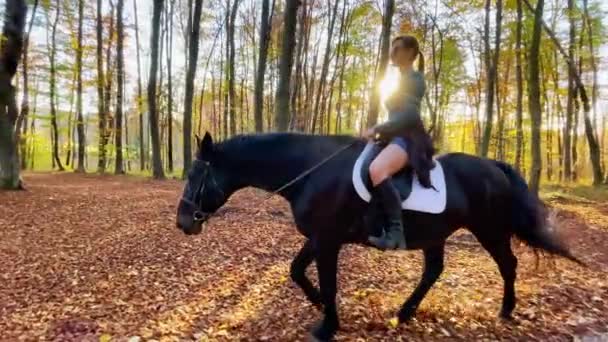 Η γυμνασμένη γυναίκα ιππεύει το άλογό της κατά μήκος μιας γραφικής διαδρομής στην φθινοπωρινή εξοχή. — Αρχείο Βίντεο