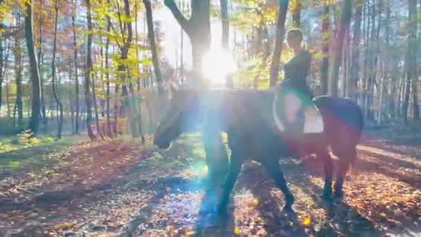 LENS FLARE: Ljus höst solstrålar lysa på en lycklig kvinna ridning hennes häst. — Stockvideo