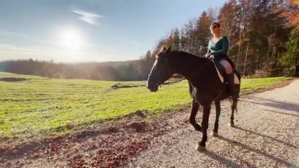 LENS FLARE: Fit rider guides her horse along a scenic route in rural Slovenia. — Stock Video