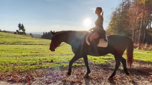 FLARE DE LA LENTE: Joven mujer caucásica monta su caballo de castaño a lo largo de un camino de grava. — Vídeos de Stock