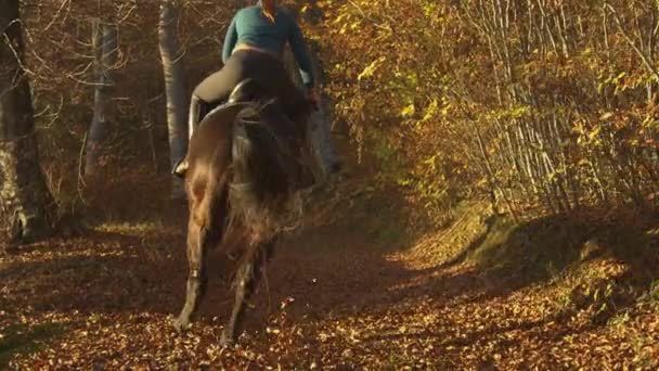 SLOW MOTION: Female horseback rider gallops on her horse down a forest path. — Stock Video